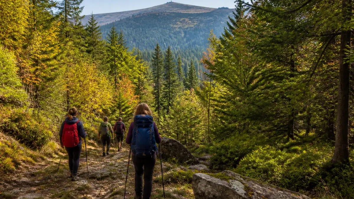 Où randonner en Alsace pour éviter la foule : trois parcours hors des sentiers battus